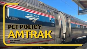 Are Dogs Allowed on Amtrak?