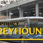 Are Dogs Allowed on Grehound busses (1)