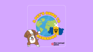 Can I Bring My Dog to Barbados? (Pet Policies Explained)