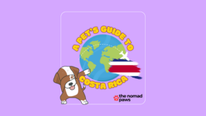 Can I Take My Dog to Costa Rica?