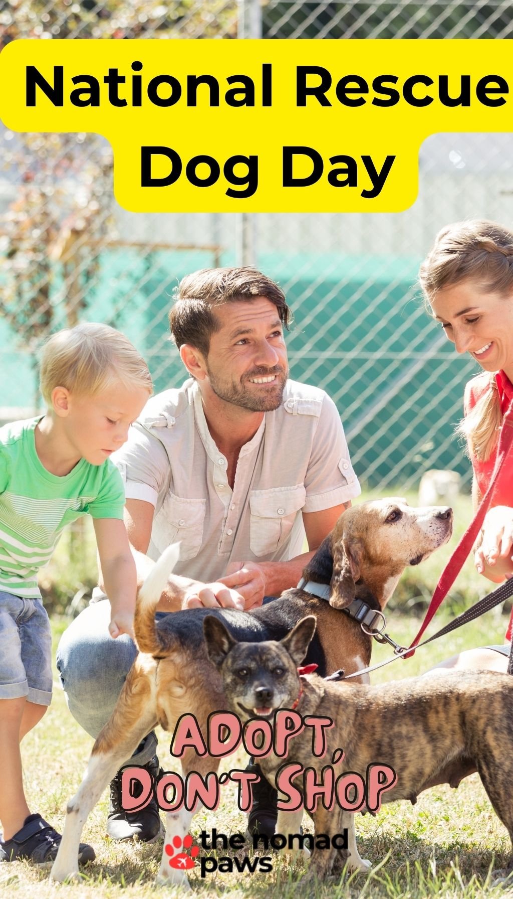 National-Dog-Resque-Day-4
