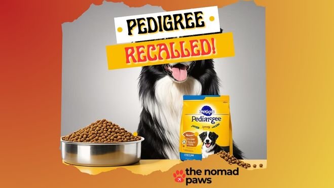 Alert: Pedigree Dog Food Recall Issued Over Metal Contamination