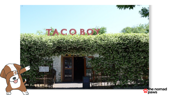 Taco Boy Charleston