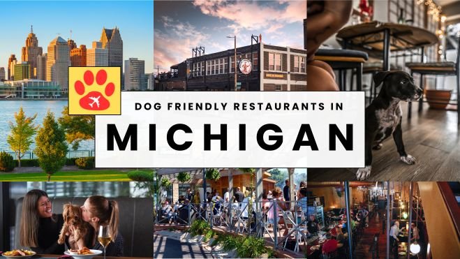 Where to Eat with Your Dog in Michigan: Our Picks