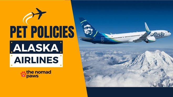 Alaska Airlines Pet Travel Policies