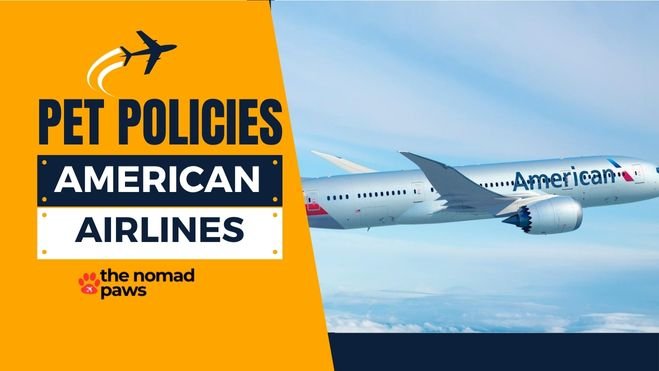 American Airlines Pet Policies
