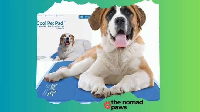 Cooling Pad for dogs