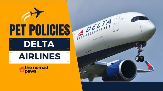 Delta Airlines Pet Policies