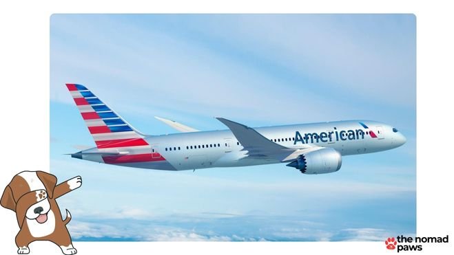 Pet Restrictions on American Airlines