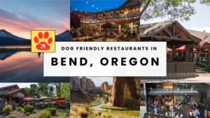 Where to Eat with Your Dog in Bend, Oregon
