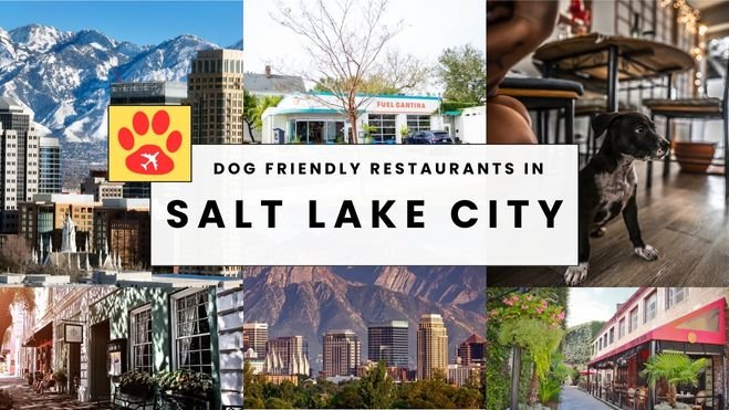 Where to Eat with Your Dog in Salt Lake City