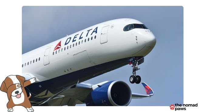what is the pet policy for delta airlines