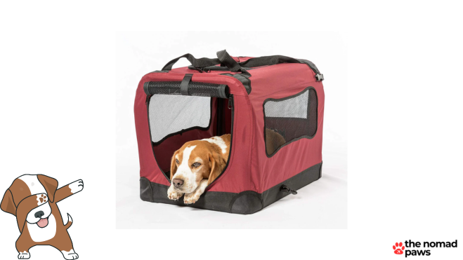 2PET Foldable Dog Crate visibility and comfort