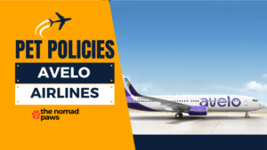 Avelo Pet Policies – Explained