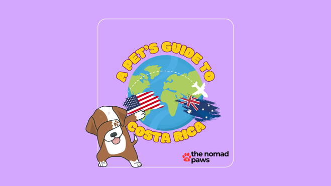 Can I Take My Dog to Australia from the USA? A Tail-Wagging Guide
