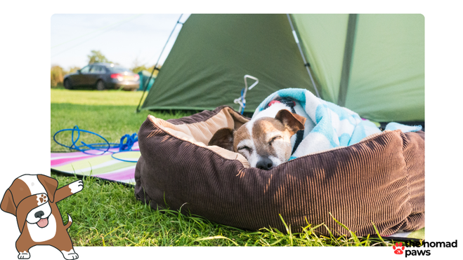 Essential Camping Gear for Dogs: Ruffwear and Tent Camping Must-Haves