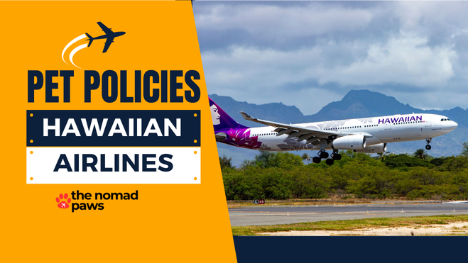 Hawaiian Airlines Pet Policy – Explained