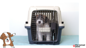 How Much Does It Cost to Ship a Dog?