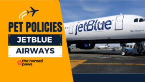 JetBlue Pet Policy – Explained