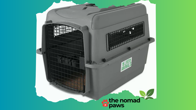 Petmate Sky Kennel Review