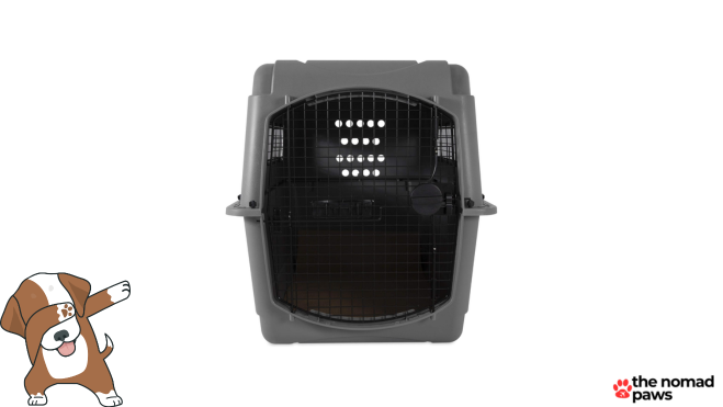 Petmate Sky Travel Dog Crate