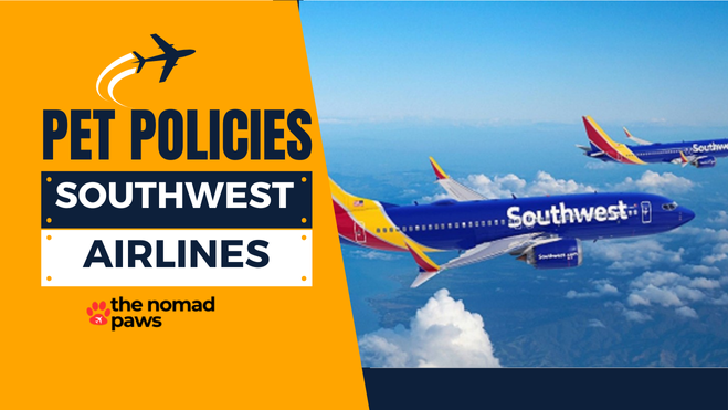 Southwest Airlines Pet Policy – Explained