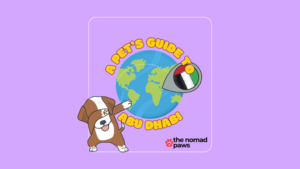 Complete Guide to Pet Relocation in Abu Dhabi