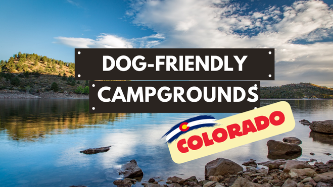 dog-friendly camping in Colorado