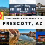 Where to Eat with Your Dog in Prescott, Arizona