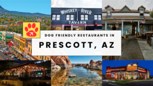 Where to Eat with Your Dog in Prescott, Arizona