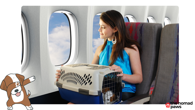 hawaiian airline pet policy