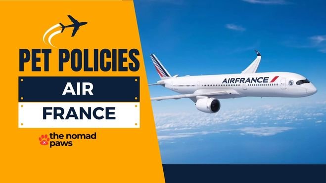 Air France Pet Policies – Explained