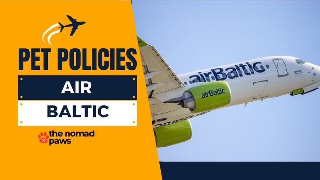 airBaltic Pet Policy – Explained