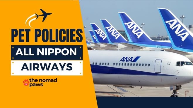 All Nippon Airways (ANA) Pet Policy – Explained