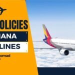 Asiana Airlines Pet Policy – Explained