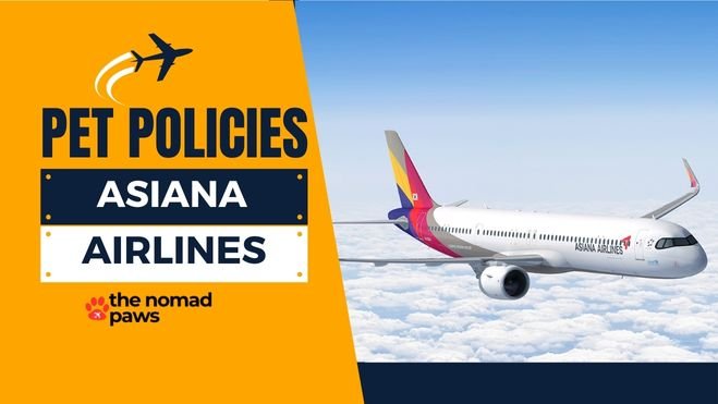 Asiana Airlines Pet Policy – Explained