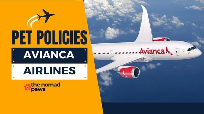 Avianca Airlines Pet Policy