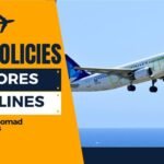 Azores Airlines Pet Policy – Explained