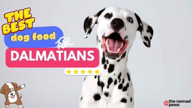 Best food for dalmatian puppy best sale