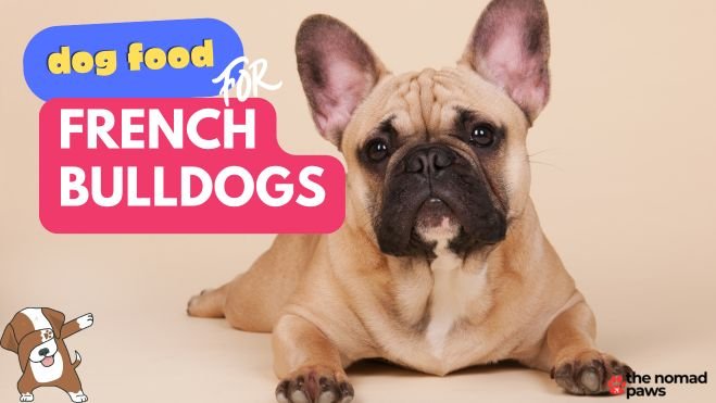 Best dog food for French Bulldogs