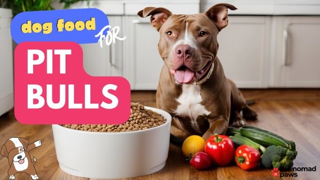 Best Dog Food for Pit Bulls: What to Feed Your Dog in 2024