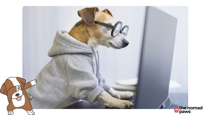 Dog at computer