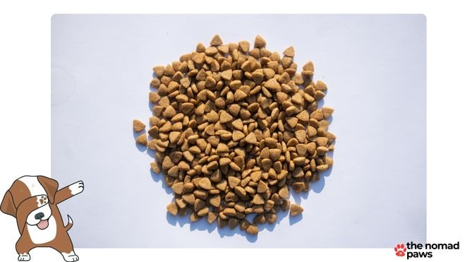 Dry dog food kibble