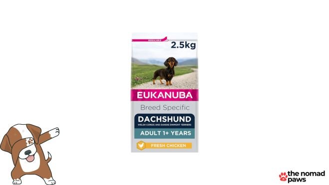 Eukanuba Small Breed Adult Dry Dog Food dachshund