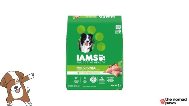 Iams ProActive Health Adult Minichunks Dry Dog Food