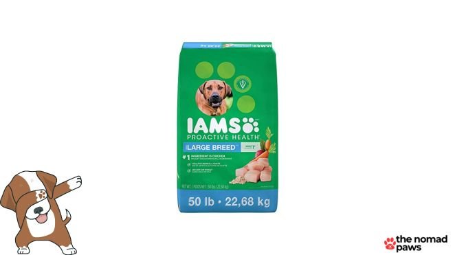 Iams ProActive Health Adult Large Breed