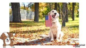 New CDC Regulations for Dogs Entering the U.S. Now in Effect