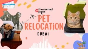 Trusted Pet Relocation Services in Dubai