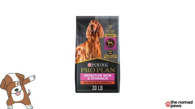 Purina Pro Plan Focus Sensitive Skin & Stomach Salmon & Rice Formula