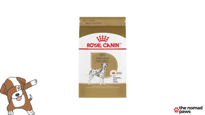 Royal Canin Breed Health Nutrition Dalmatian